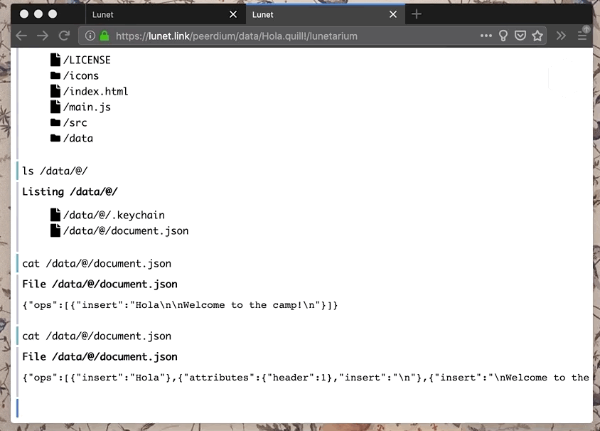 write in console